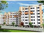 Pace Towers, 2 & 3 BHK Apartments